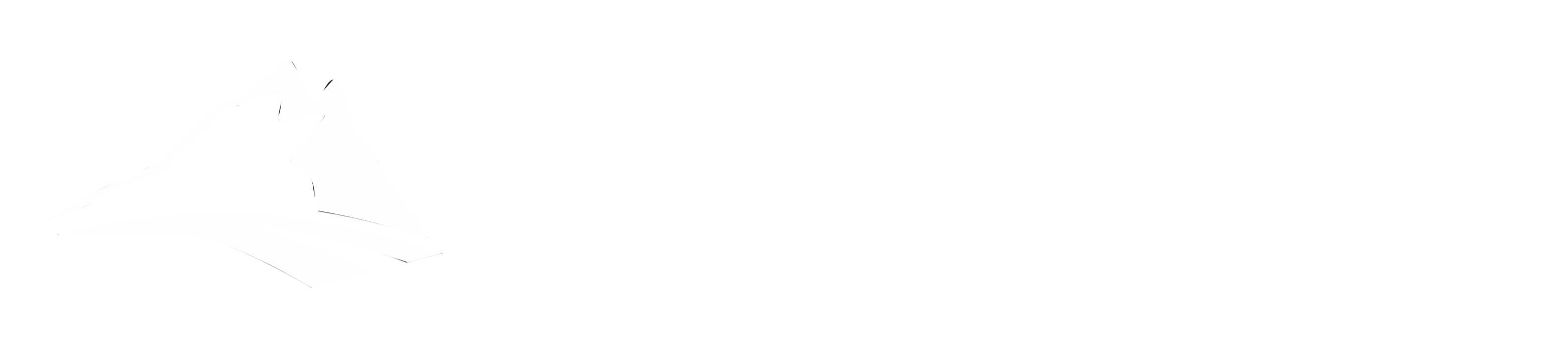 Witebot - KI Automatisierung und Agenten aus Zürich