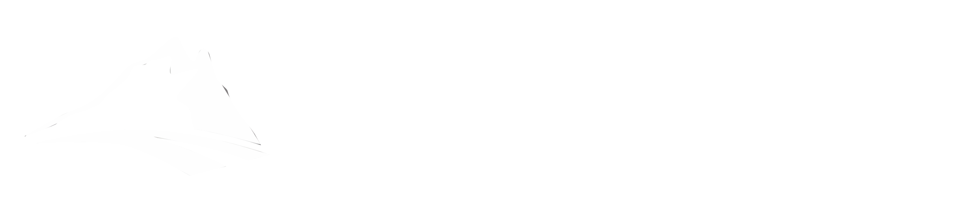 Witebot - AI Automation and Agents from Zurich